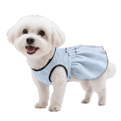 カスタムプリント 小型犬プリンセスドレス | CZC182