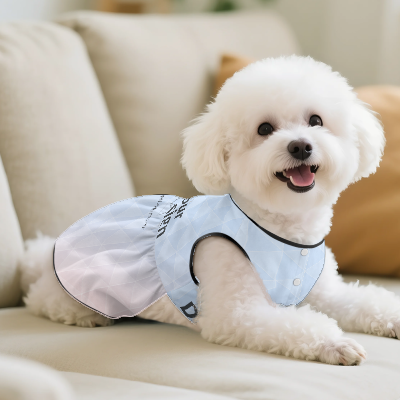 カスタムプリント 小型犬プリンセスドレス | CZC182