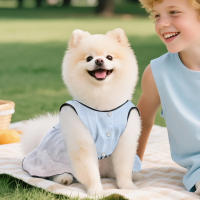 カスタムプリント 小型犬プリンセスドレス | CZC182